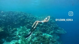 후기 14,000↑ NEW 유스윔 스노클링세트+드라이백! 물놀이 원 킬