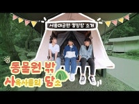 종합선물세트 서울대공원 캠핑장! < VR(상세) < 영상 | 서울문화포털......  영상 > VR(상세) > 도심 속 자연!!! 종합선물세트 서울대공원 캠핑장!