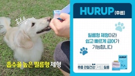 반려동물 관절건강 개선을 위한 초간편 필름영양제 by 셀론텍(주) 서초지점 [단독] 한번에 후릅! 반려동물 관절건강 개선을 위한  초간편... 
