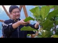[2022 노원달빛산책] ‘김이박’작가와의 대화 < 축제(상세) < 영상 < 문화정보 | 서울문화포털......  문화정보 > 영상 > 축제(상세) > [2022... 
