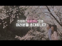 에덴벚꽃길 벚꽃축제 | 지역축제 | 대한민국 구석구석 축제