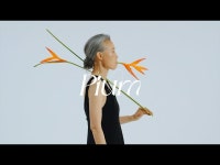 [DDP디자인스토어] Brand Film 04. PIUM < 축제(상세) < 영상 < 문화정보 | 서울문화포털......  문화정보 > 영상 > 축제(상세)... 