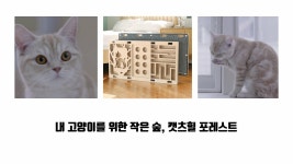 내 고양이를 위한 작은 숲, 캣츠힐 포레스트 by 엠오바이오