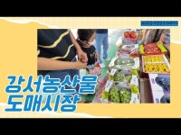 공연(상세) < 영상 < 문화정보 | 서울문화포털......  문화정보 > 영상 > 공연(상세) > [지금은 강서시대!] 강서농산물도매시장을 찾아서