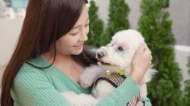 주식회사 시즈웰스 | 우리아이 슬개골탈구 걱정 끝! 이아소펫 콜드레이저 by 주식회사 웰스케어