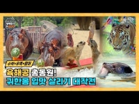 [여름나기 2탄] 육·해·공 총동원! 귀한 몸 입맛 살리기 대작전 < 기타(상세) < 영상 < 문화정보 | 서울문화포털......  문화정보 > 영상 > 기타(상세)... 