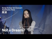 출첵하며 노래 한 곡 띄웁니다-송소희 Not a Dream 디아블로2 레저렉션 커뮤니티 - 카오스큐브