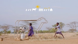 솔라카우, 아이들을 사랑한 태양광 소의 이야기.