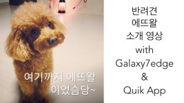 스마트폰으로 나만의 영상 제작 4편 - 쉽고 빠르게 편집 가능한 애플리케이션 ‘Quik’