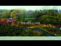 문화정보 > 영상 > 기타(상세) > [은평구 1인 크리에이터] 봉산 편백나무숲 싱그러움을 은평구에서 누려보세요!