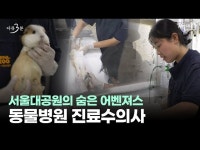 서울대공원의 숨은 수호자, 수의사 진료팀ㅣ다큐멘터리 3분 서울대공원 < 전시(상세) < 영상 | 서울문화포털......  영상 > 전시(상세) > 서울대공원... 
