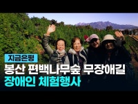 공연(상세) < 영상 < 문화정보 | 서울문화포털......  문화정보 > 영상 > 공연(상세) > [지금은평] 봉산 편백나무숲 무장애 숲길 장애인 체험행사 #은평구