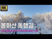 공연(상세) < 영상 < 문화정보 | 서울문화포털......  문화정보 > 영상 > 공연(상세) > [중랑을 걷다 - 4K] 눈 내리는 중랑, 봉화산 동행길