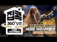 살아있는 듯한 공룡을 VR로 즐겨보자!ㅣ서대문 자연사박물관 < VR(상세) < 영상 | 서울문화포털......  영상 > VR(상세) > 살아있는 듯한 공룡을... 