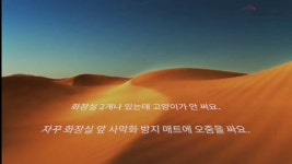 처음만나보는 사막화방지 투명화장실 깔끔이 by 포쉬펫부티크