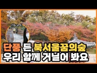 단풍 든 북서울꿈의숲 함께 거닐어 봐요ㅣ 서울 영상 크리에이터 < 기타... 영상 > 기타(상세) > 단풍 든 북서울꿈의숲 함께 거닐어 봐요ㅣ 서울 영상... 