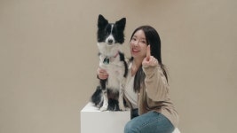 [5000평 규모] 프리미엄 애견풀빌라 스테이펫 홍천 OPEN기념 혜택!