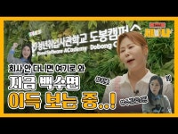 교육/체험(상세) < 영상 < 문화정보 | 서울문화포털......  문화정보 > 영상 > 교육/체험(상세) > [서울세미나] 취뽀 해야지 청취사 얼른 잡솨봐