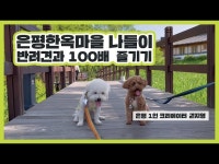 공연(상세) < 영상 < 문화정보 | 서울문화포털......  문화정보 > 영상 > 공연(상세) > [은평 1인 크리에이터] 반려견과 은평한옥마을 백배 즐기기