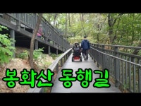 [우리동네통신원] 봉화산 동행길 < 공연(상세) < 영상 < 문화정보 | 서울문화포털......  문화정보 > 영상 > 공연(상세) > [우리동네통신원] 봉화산 동행길