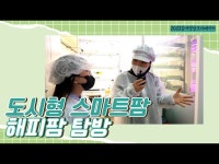 해피데이팜 | 라이브(상세) 영상 > 라이브(상세) > [지금은 강서시대!] 도시형 스마트팜 해피팜 탐방하기