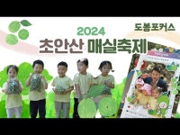 공연(상세) < 영상 < 문화정보 | 서울문화포털......  문화정보 > 영상 > 공연(상세) > [도봉포커스] 2024 도봉구 초안산 매실축제