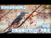 (온라인공원생태학교) ㅣ제50강 서울숲에서 만나는 겨울새 < 축제(상세) < 영상 | 서울문화포털......  영상 > 축제(상세) > (온라인공원생태학교)... 