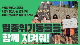 [멸종위기동물 후원] 알고 보면 귀여운 친구들을 지켜줘!