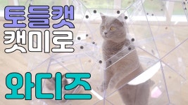 토들캣 주식회사 | 쉬운 조립으로 돌아온 캣미로, 냥님 취향대로 마음껏 바꿔주세요! by 토들캣 주식회사