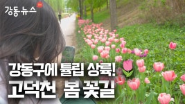 강동구청 | 소통 구청장실 소통 구청장실