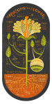 The Anatomy of a Flower art printThe Anatomy of a Flower art print by Rachelignotofsky on Etsy