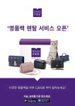 롯데렌탈 묘미, 명품 핸드백 렌털 서비스 시작 | 연합뉴스