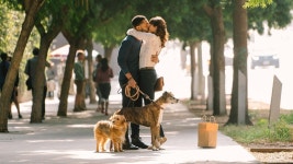 인간에게 행복과 인연을 만들어주는 강아지들…해피 디 데이 | 연합뉴스