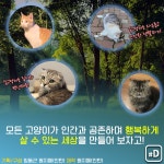 [오늘은] 야옹∼, 요물 아니다냥…행복하게 살고 싶을뿐 | 연합뉴스