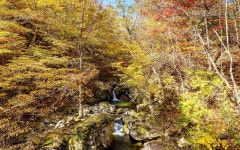 정선 항골 숨바우길 따라 원시림 비경 속으로 | 연합뉴스