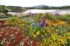 [여행honey] 꿈꾸었던 그곳…순천의 정원 | 연합뉴스