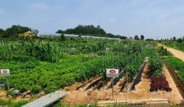 익산시, 자연에서 힐링하는 주말가족농장 인기 | 연합뉴스