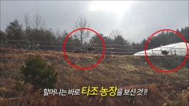 [현장영상] 길 잃고 헤매던 할머니…타조농장이 보이는데 | 연합뉴스