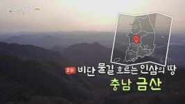 [풍경여지도] 비단 물길 흐르는 인삼의 땅 충남 금산 2부 | 연합뉴스