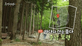 [풍경여지도] 바다와 산을 품다 - 충남 보령 2부 | 연합뉴스