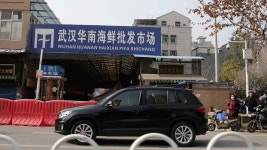 코로나19 최초 환자는 중국 우한 수산시장 노점상 | 연합뉴스