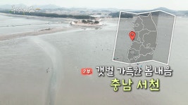 [풍경여지도] 갯벌 가득한 봄 내음 - 충남 서천 2부 | 연합뉴스