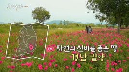 [풍경여지도] 자연의 신비를 품은 땅 - 경남 밀양 1부 | 연합뉴스