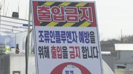 진천 오리농장서 고병원성 조류인플루엔자 추가 확진 | 연합뉴스