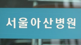 서울아산병원 교수, 의료진 10여명 성추행 의혹…직무정지 | 연합뉴스