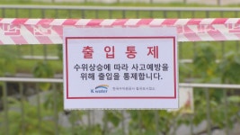 가족 앞에서 물길 휩싸여…부녀·태국인 사망 등 안타까운 사연 | 연합뉴스