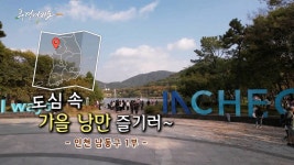 [풍경여지도] 도심 속 가을 낭만 즐기러~ - 인천 남동구 1부 | 연합뉴스