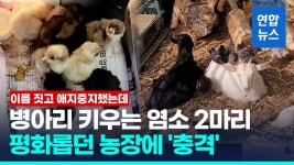안산시, 대부도 마리나항 개발 EU 투자설명회 | 연합뉴스