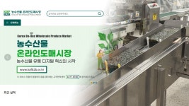 오늘부터 온라인 도매시장서 수산물도 거래 개시 | 연합뉴스