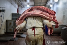 저항, 그리고 삶…중남미의 일상 | 연합뉴스